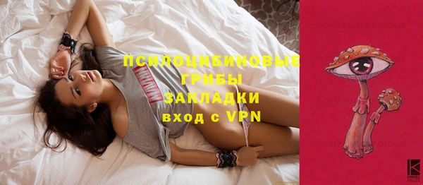 мяу мяу мука Арсеньев