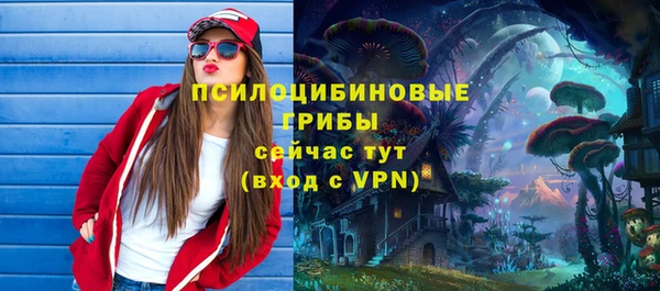 apvp Аркадак