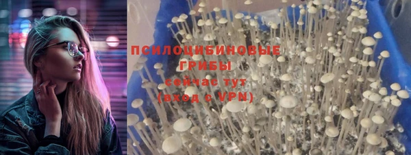 мяу мяу мука Арсеньев